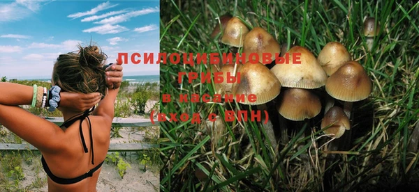 амф Абинск