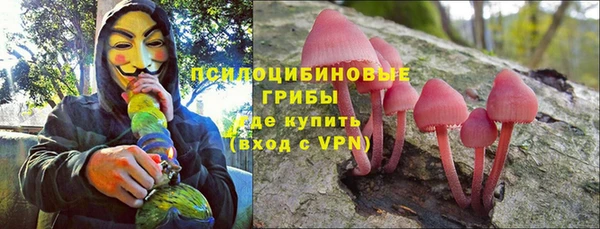 прущие крисы Абаза