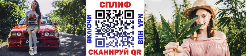 как найти закладки  Темников  Бошки Шишки LSD WEED 